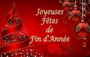 Joyeuses fêtes de fin d'année