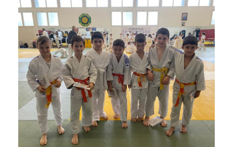 Petits tigres Anglet