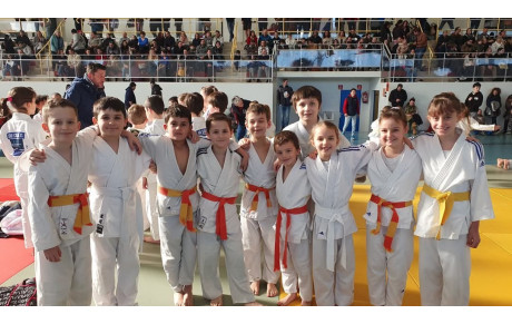 Petits Tigres Navailles Angos