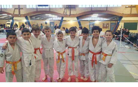 Tournoi mini Poussins-Poussins Section paloise