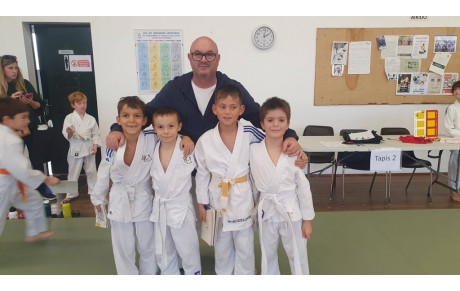 Petits Tigres Dojo Angloy 2025