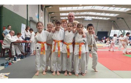 Petits-Tigres Serres-Castet